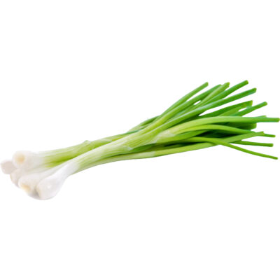 [0211] Spring Onion 1pcs