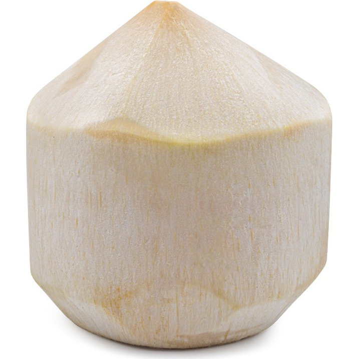 [8006] Coconut 1pcs