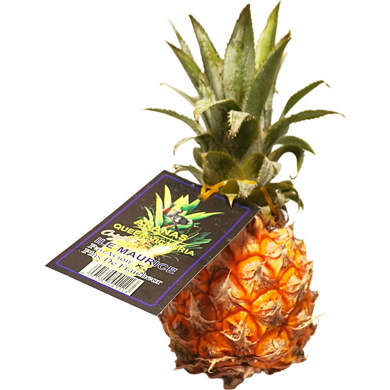 MITROFRESH Mini Pineapple 1st